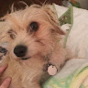 Meet your Posher, Julie